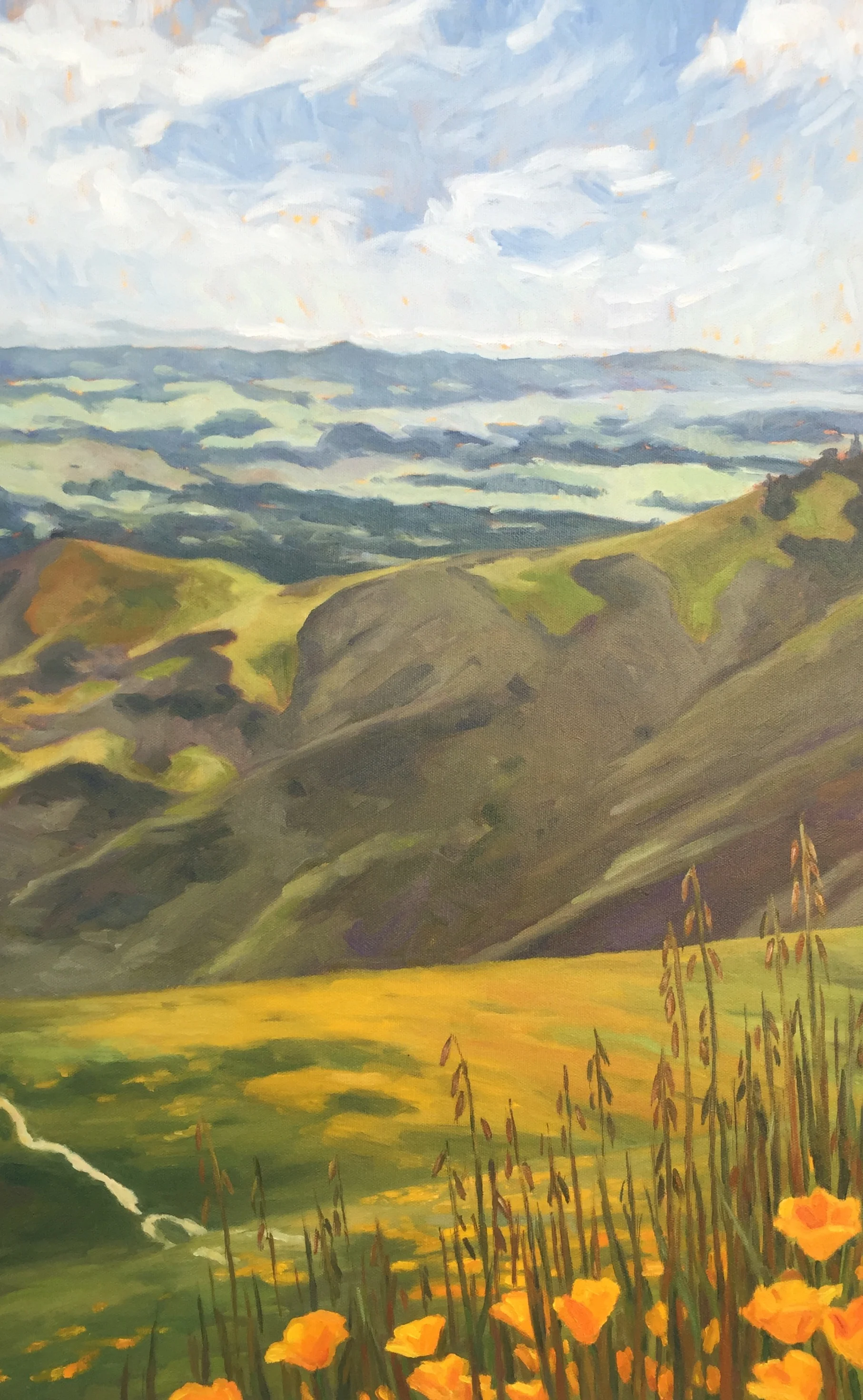 Figueroa Mountain Poppies