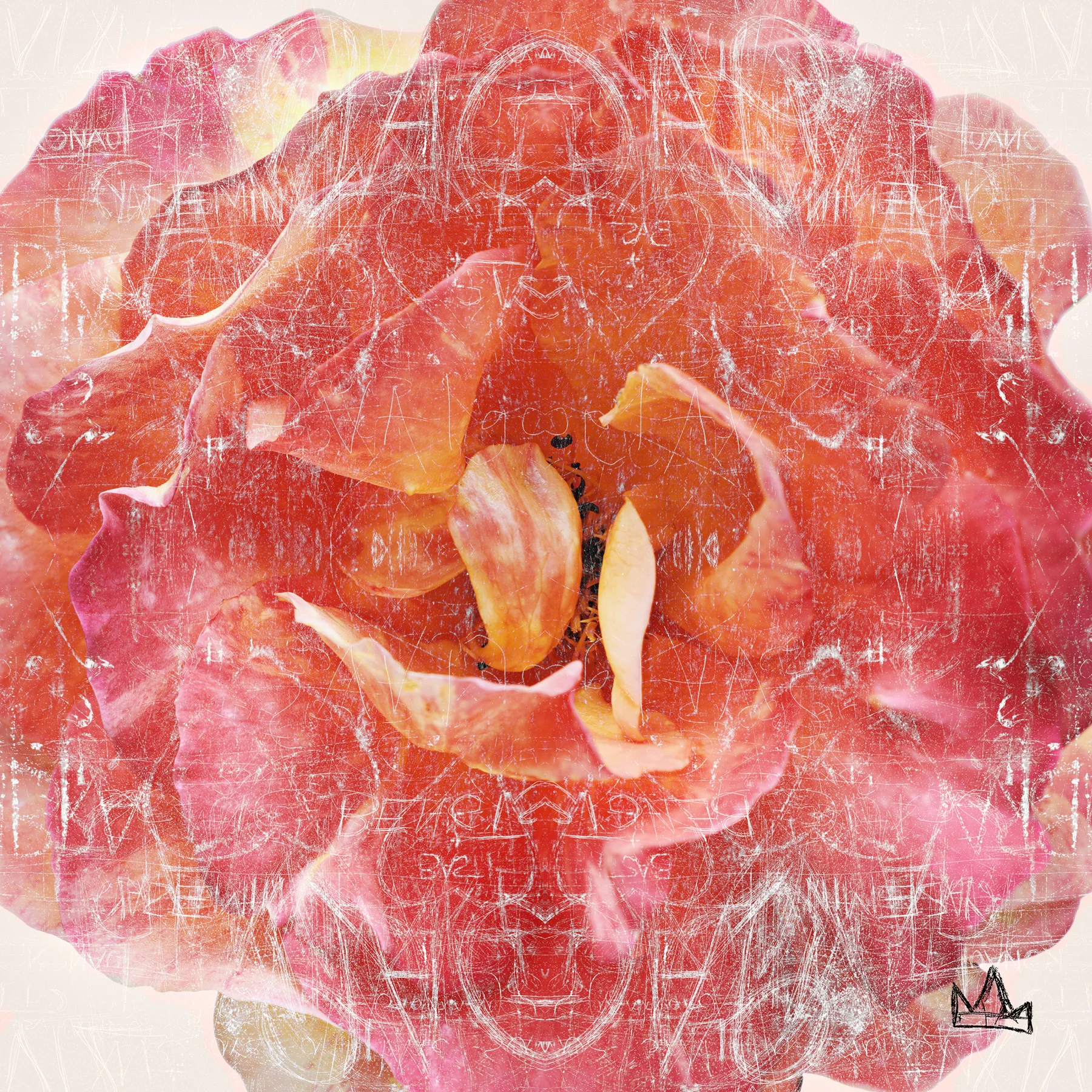 heather rose pocket square website.jpg