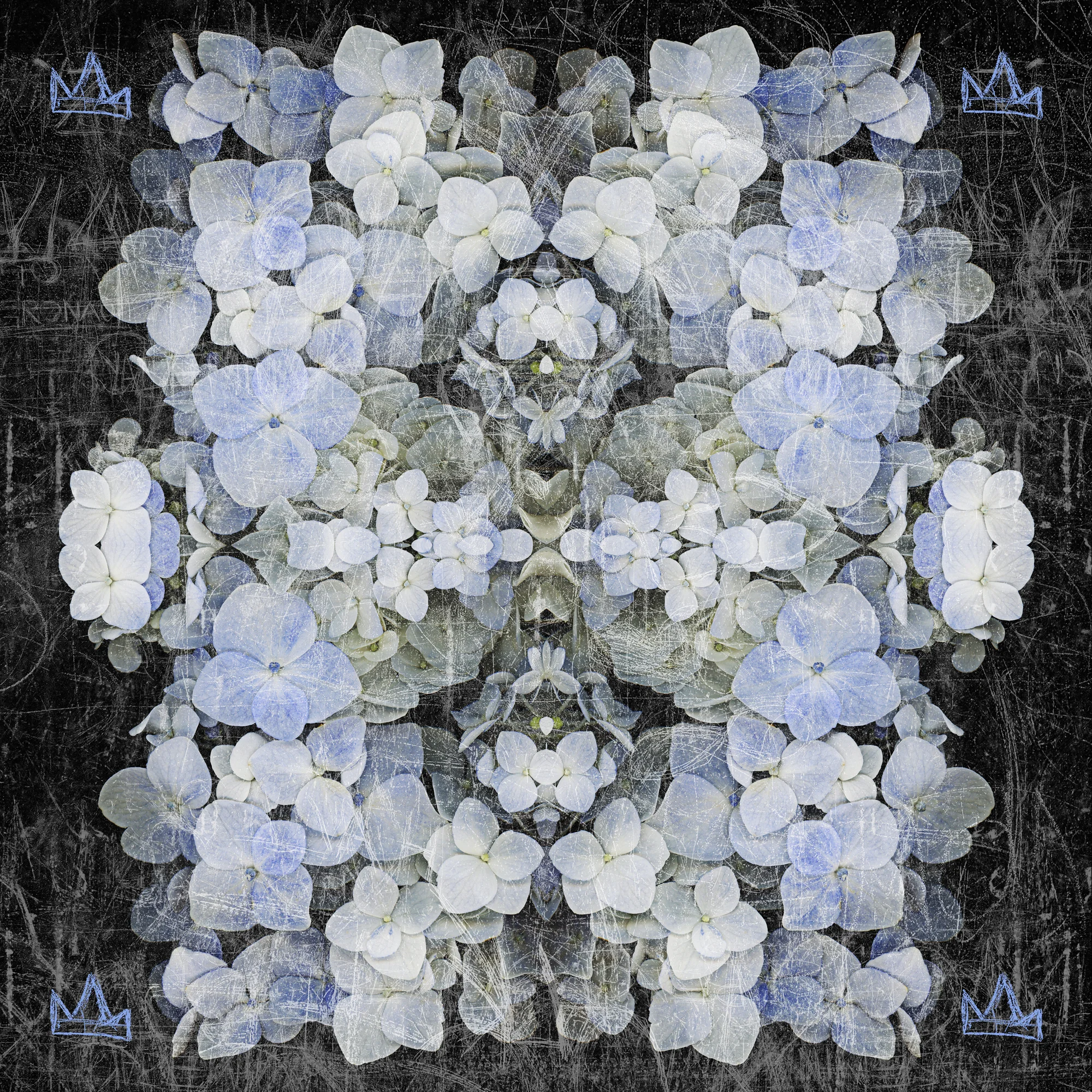 mirror flower scarf website .jpg