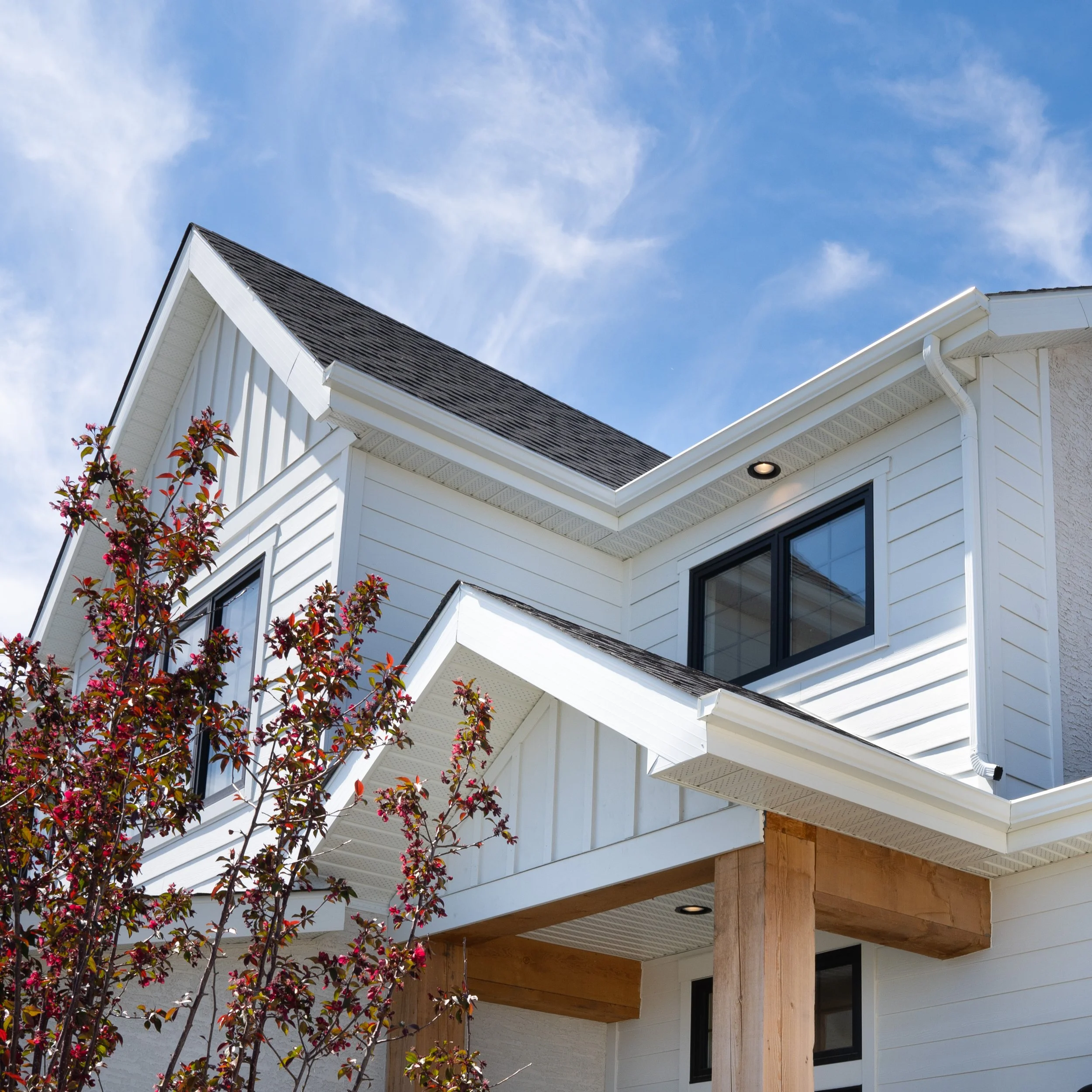 Tanager detail shots-45.jpg