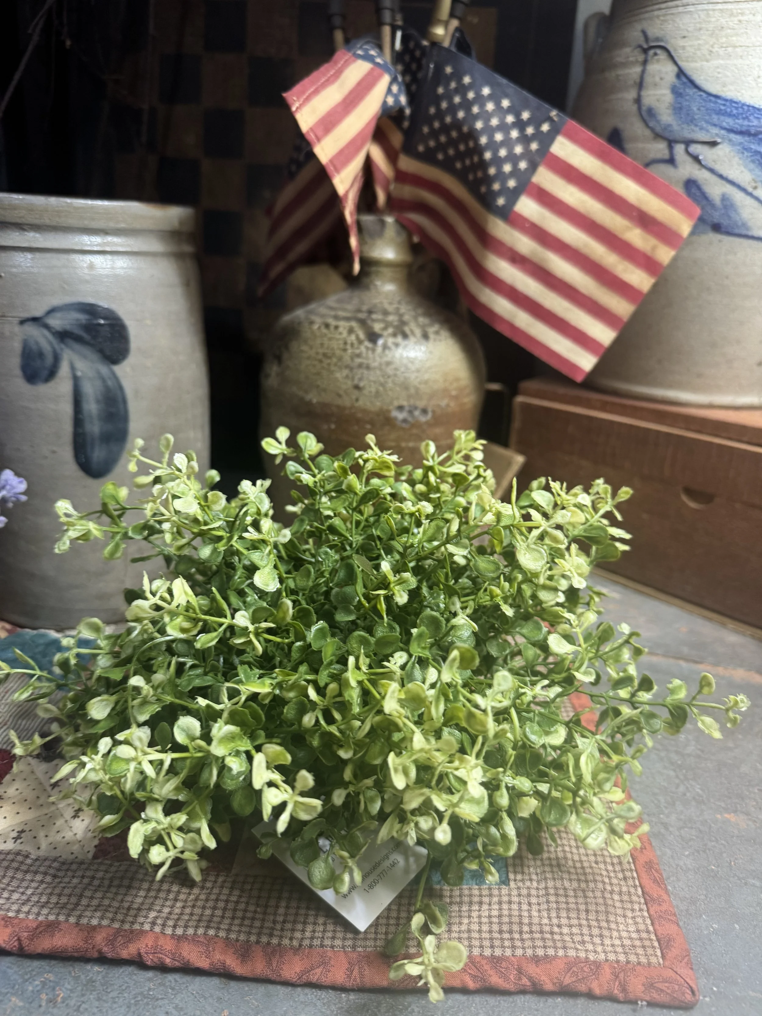 IMG_4372 jpeg.jpg