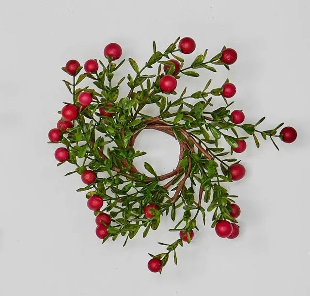 Screenshot 2024-11-18 at 3.24.44 PM.jpeg