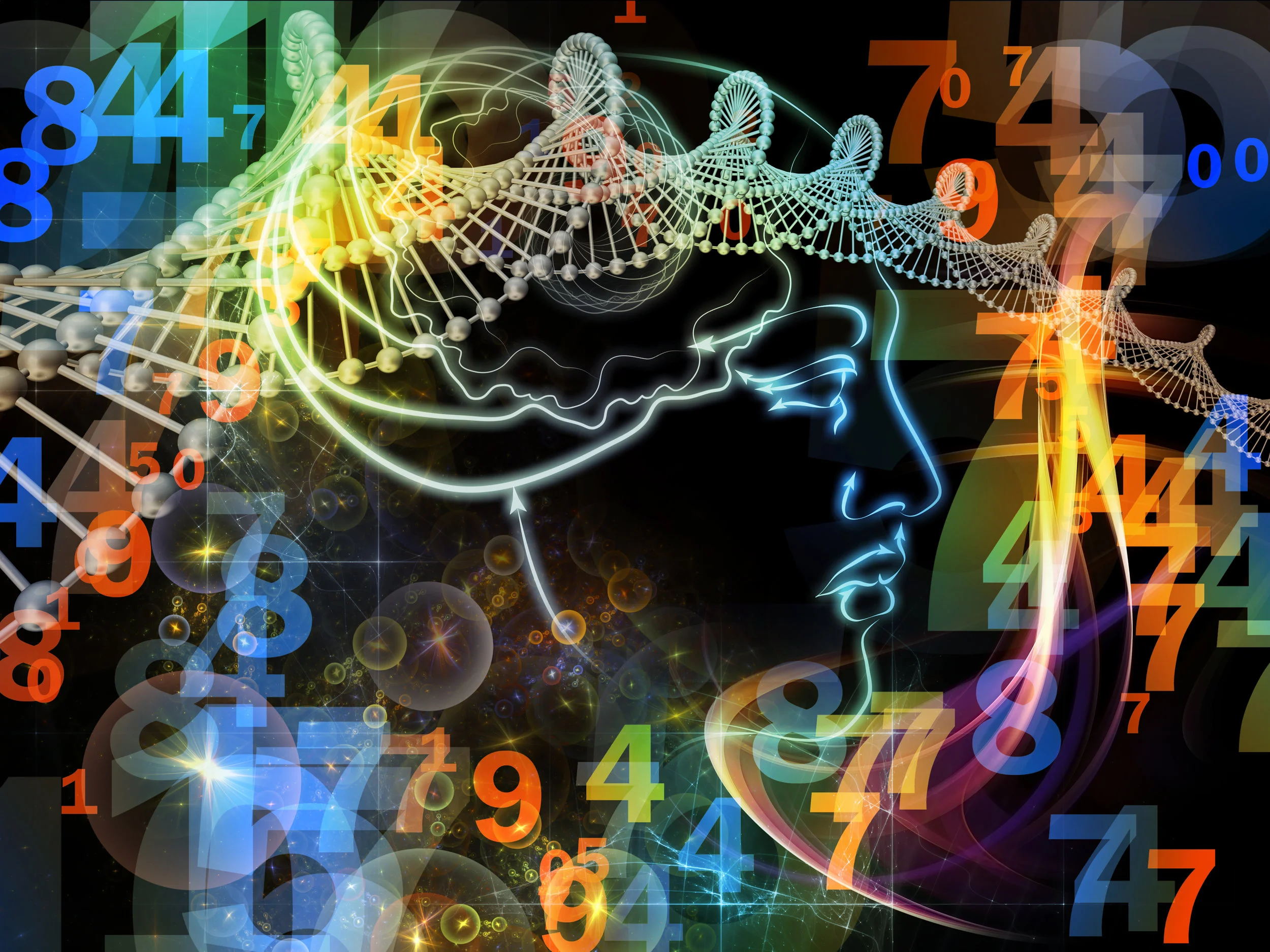 Are You Ready To Dream Again? Your Brain Is!