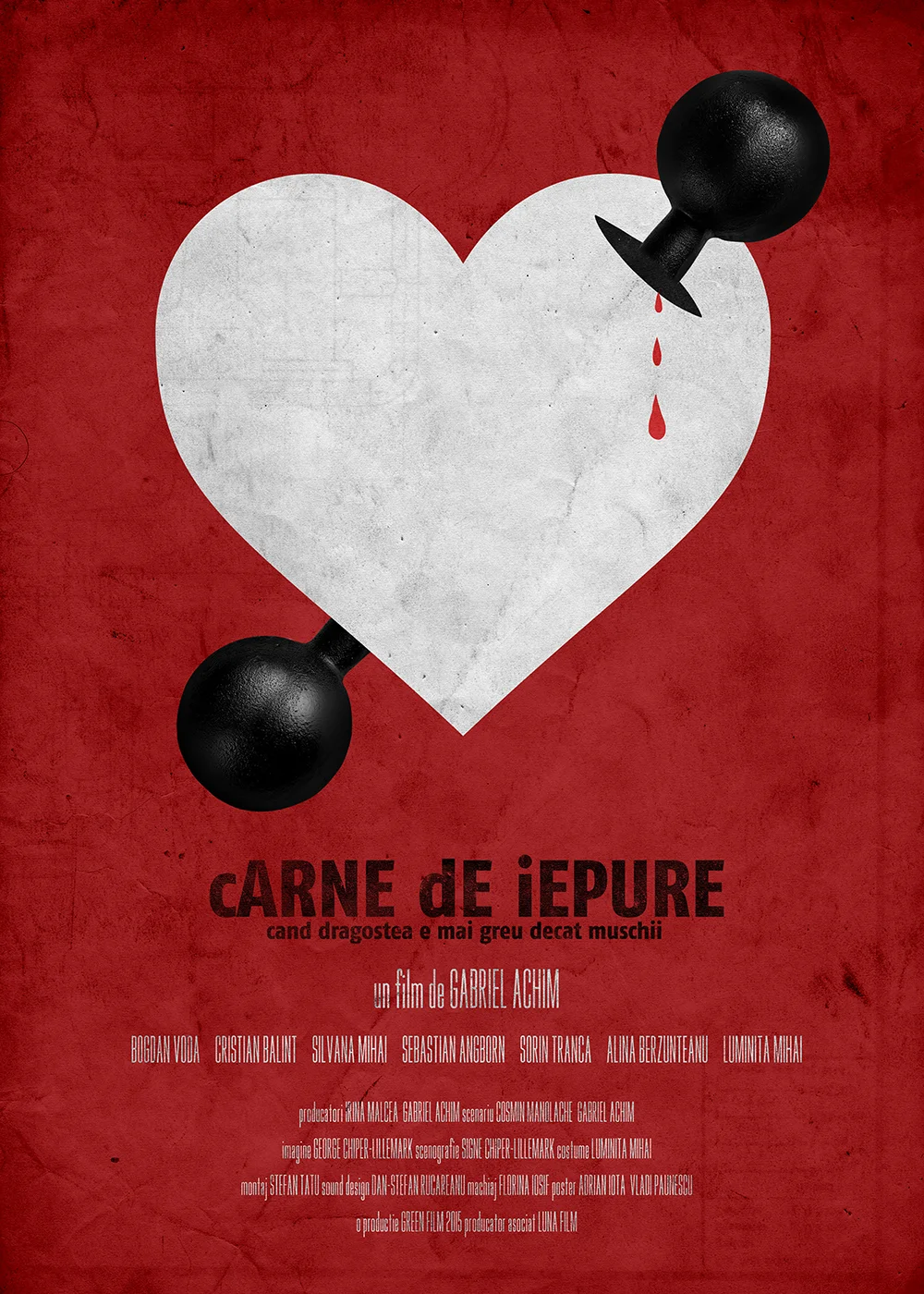 Carne De Iepure 01 RO.jpg