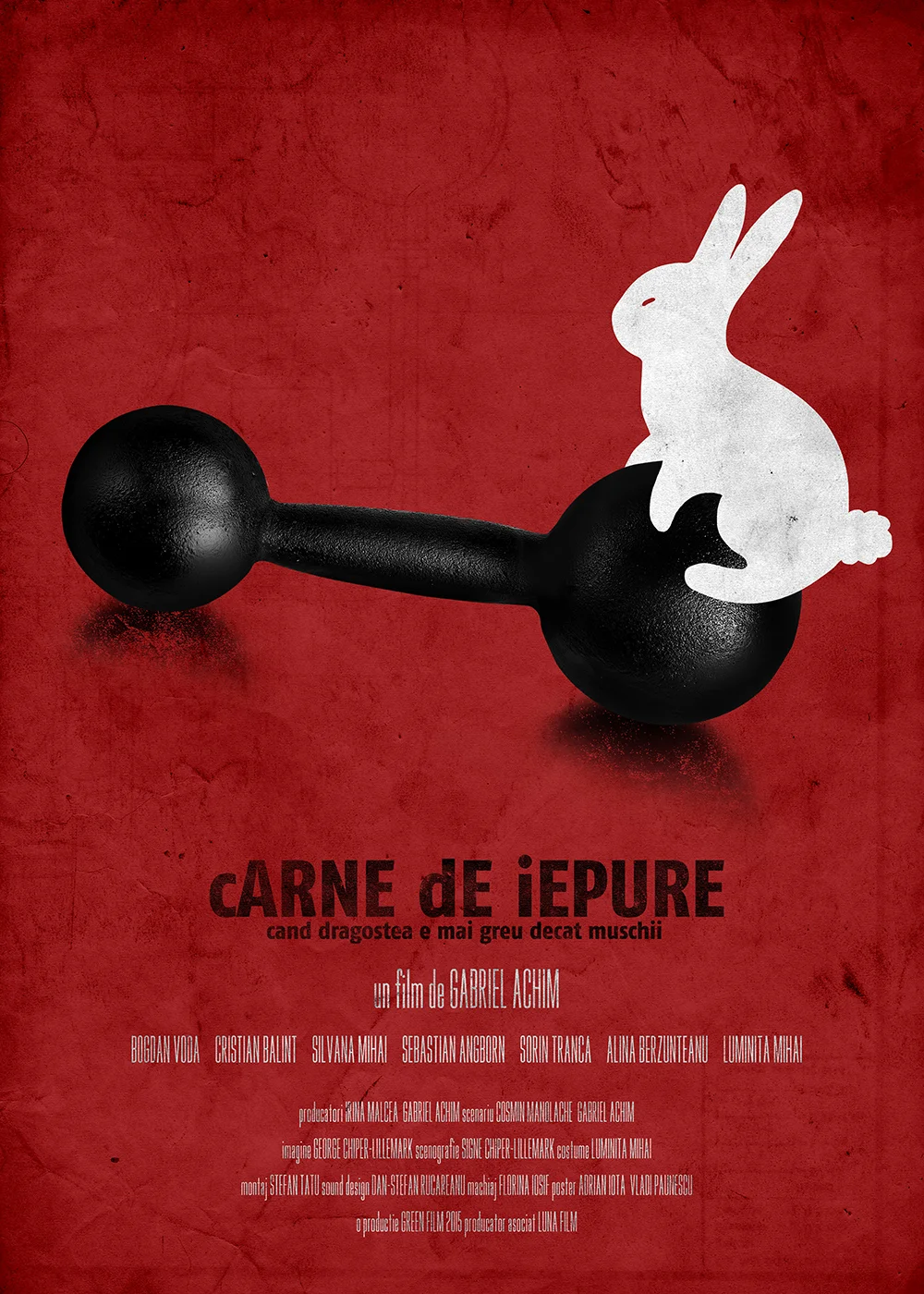 Carne De Iepure 02 RO.jpg