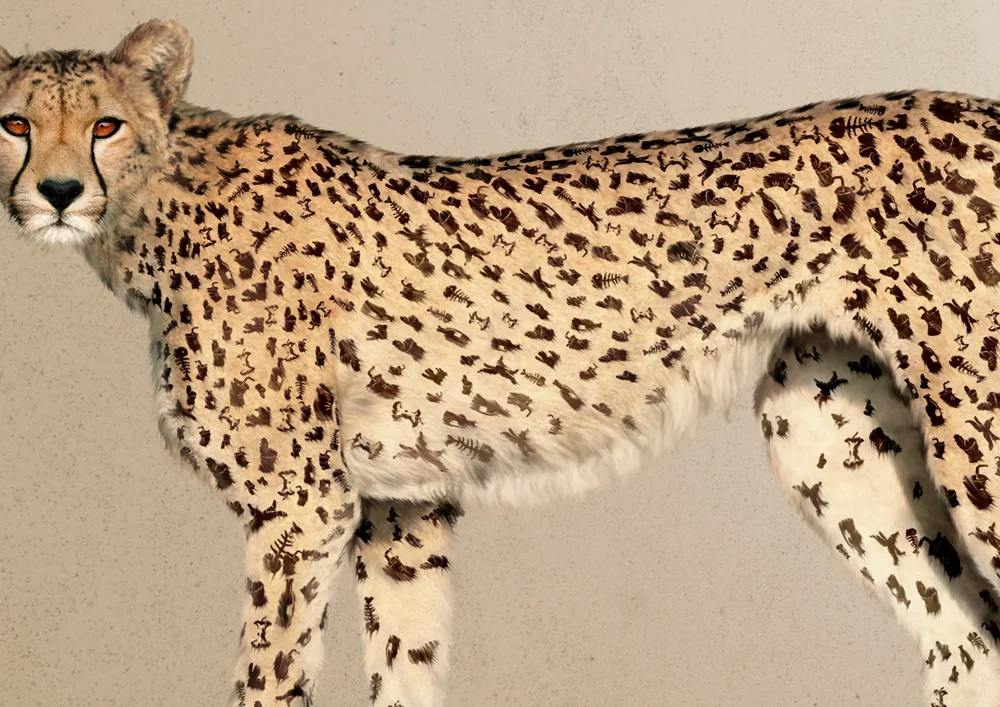 Leopard final 2 2 copy 2.jpg