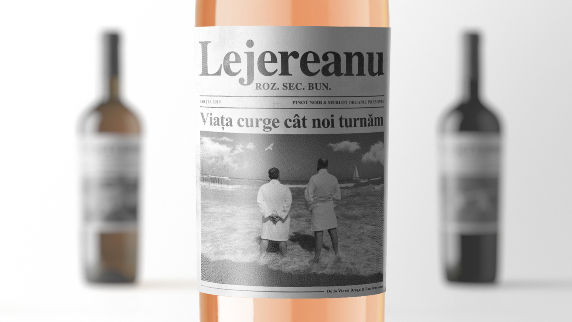 Lejereanu simulari ALL 02 rox.png