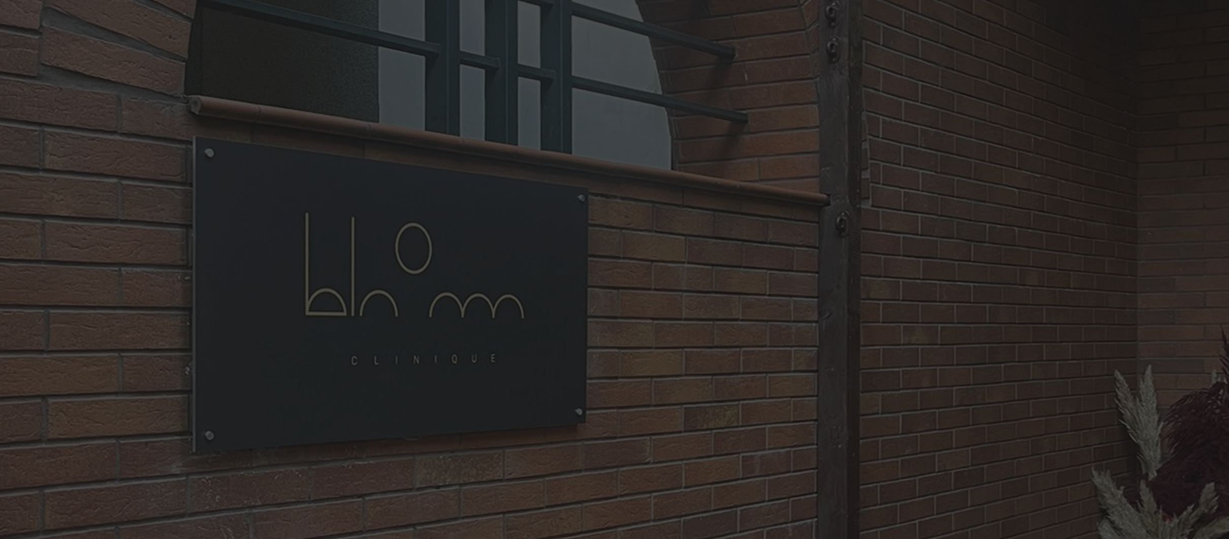 Bloom 09.png