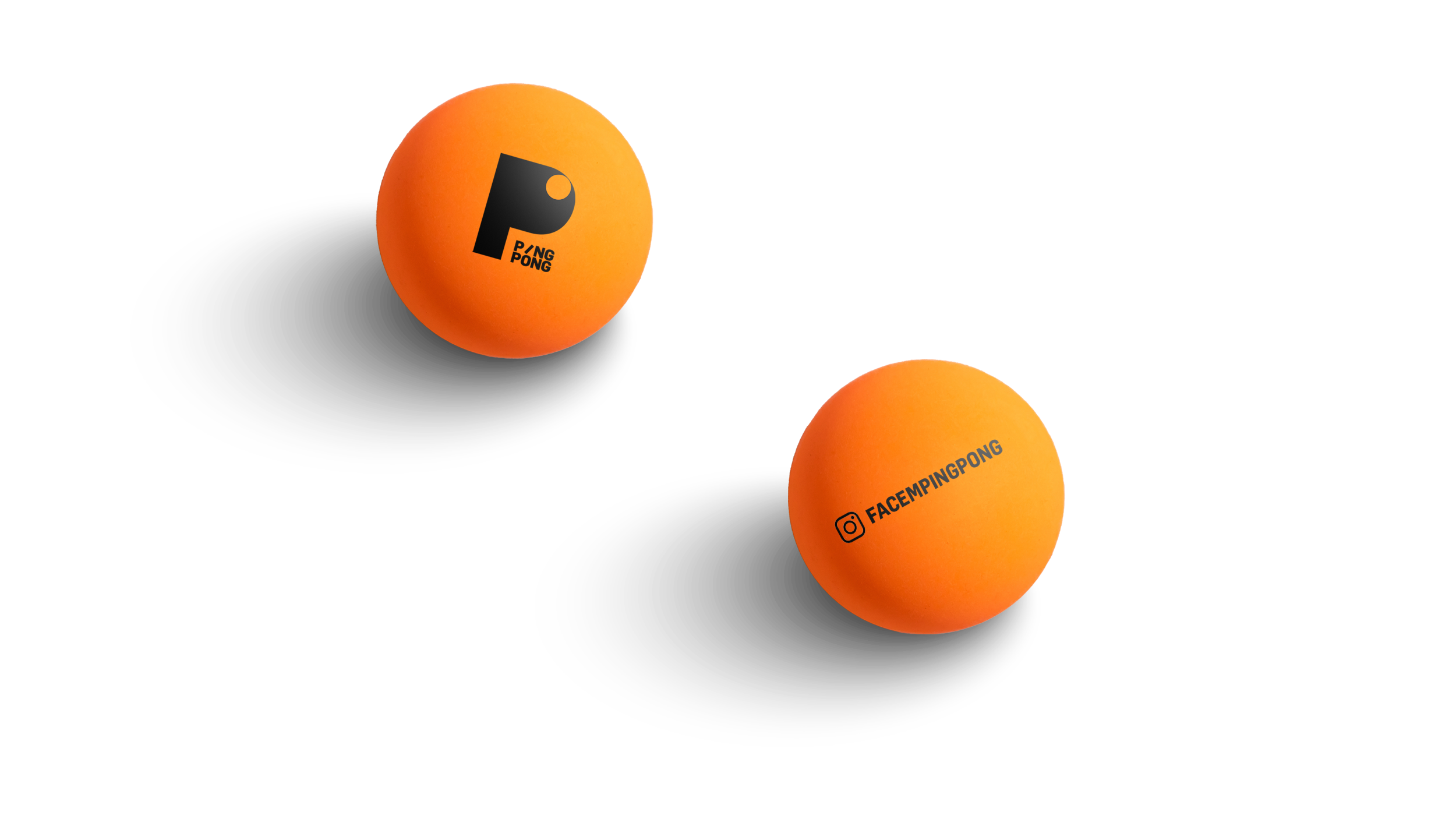 PP 03.png
