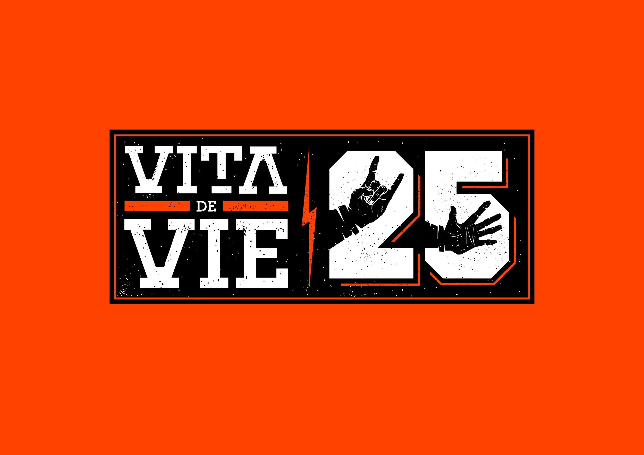 VDV-Logo-25-OK-01.jpg
