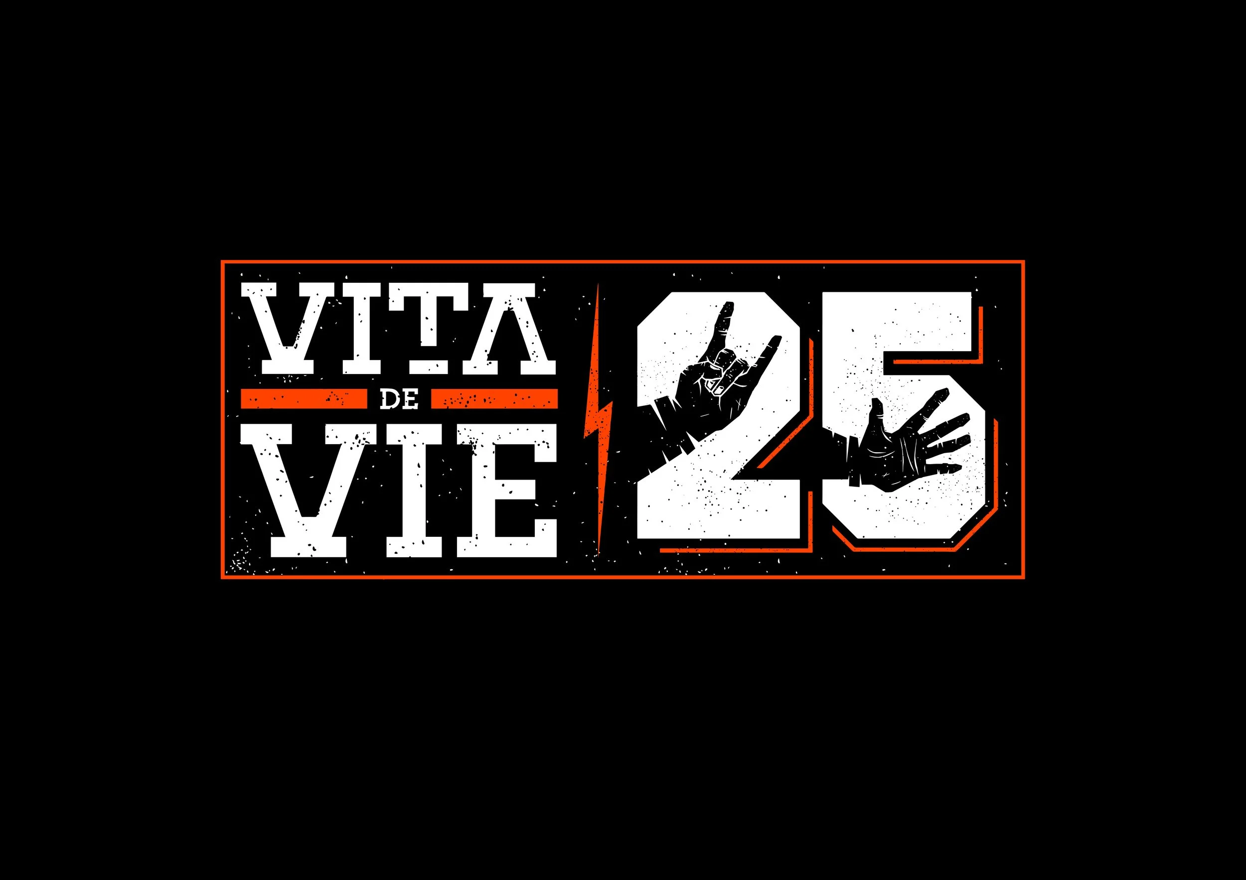 VDV-Logo-25-OK.jpg