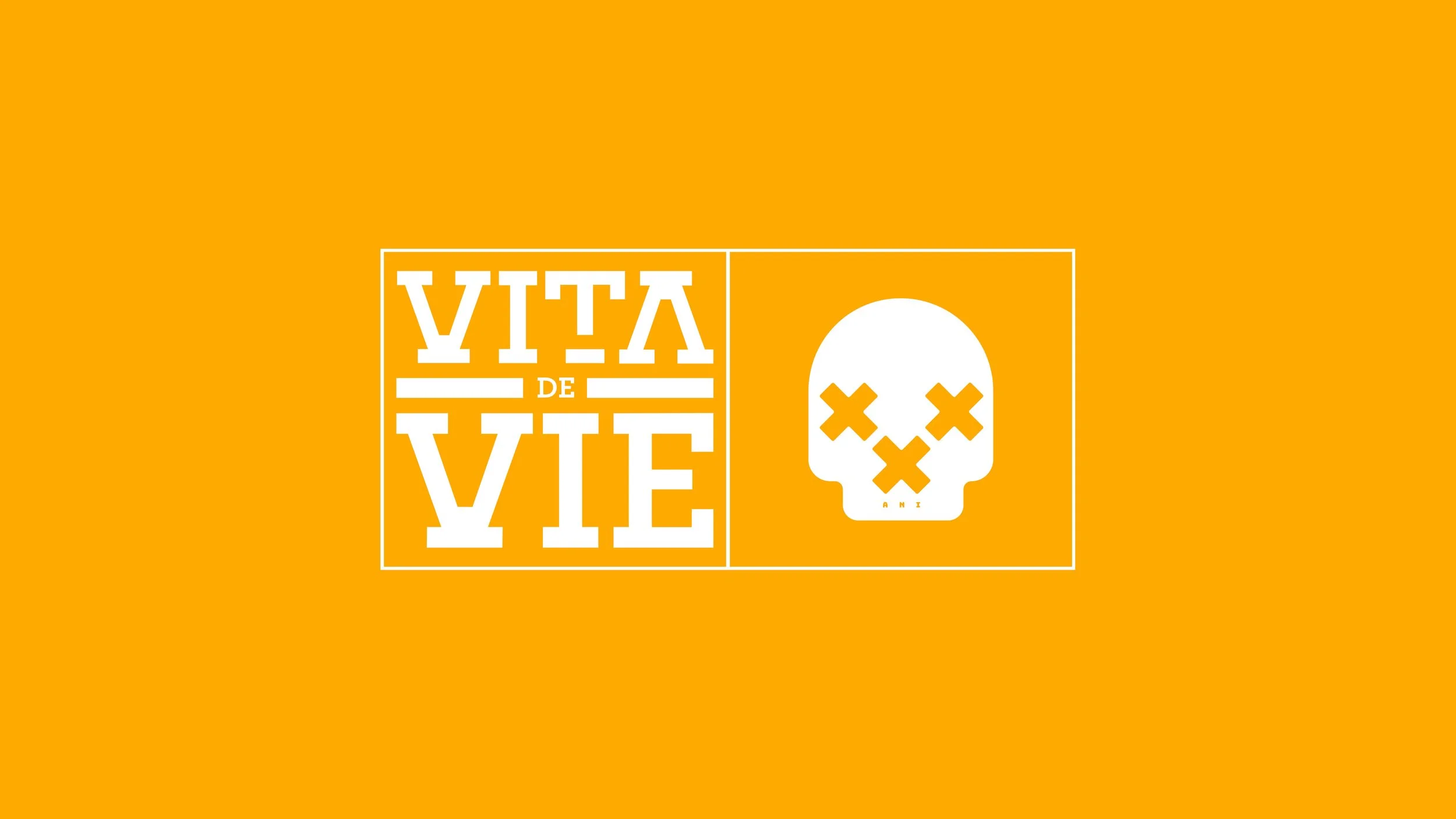 VDV-30-Logo-06.jpg