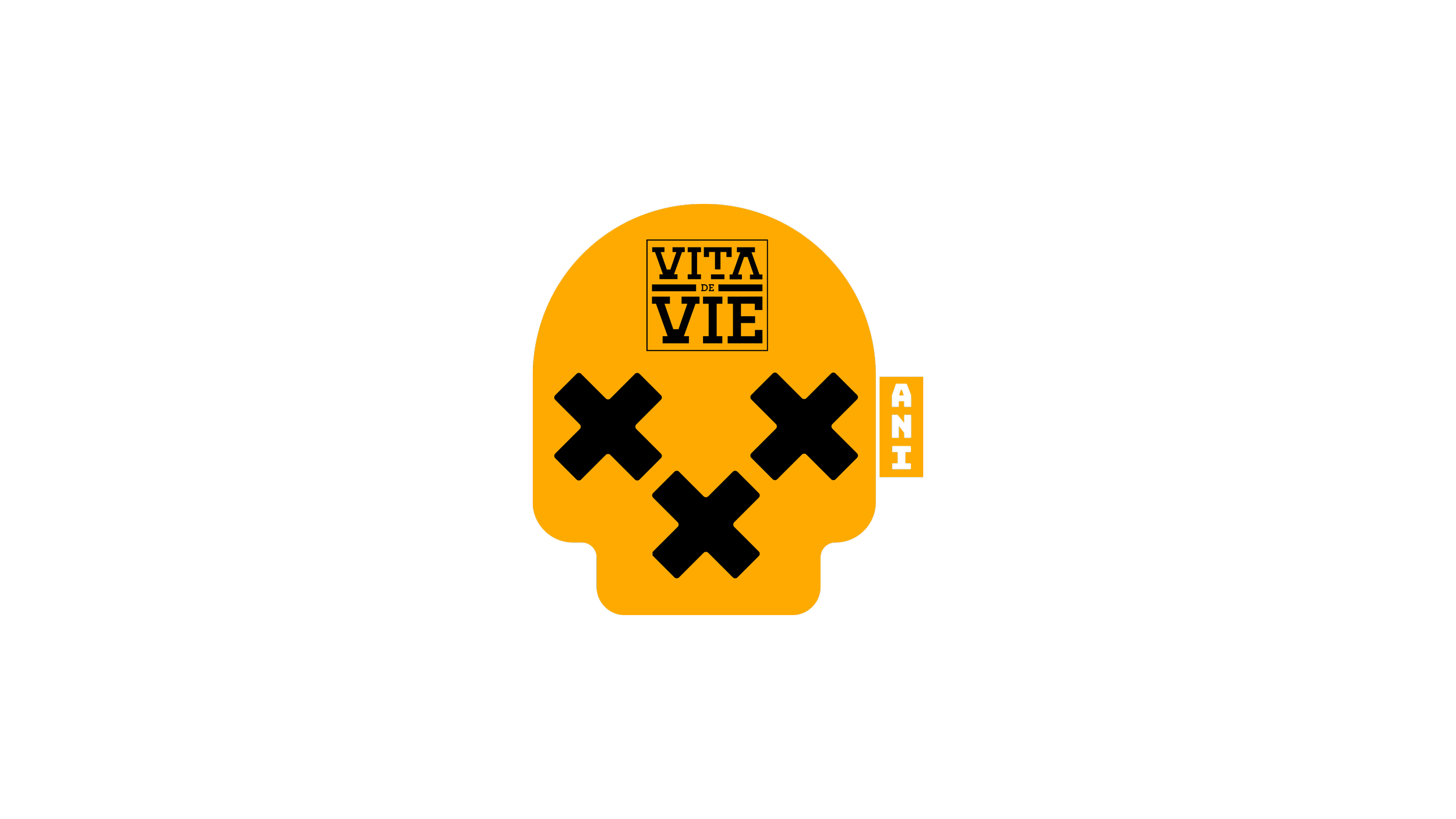VDV 30 Logo 01.png