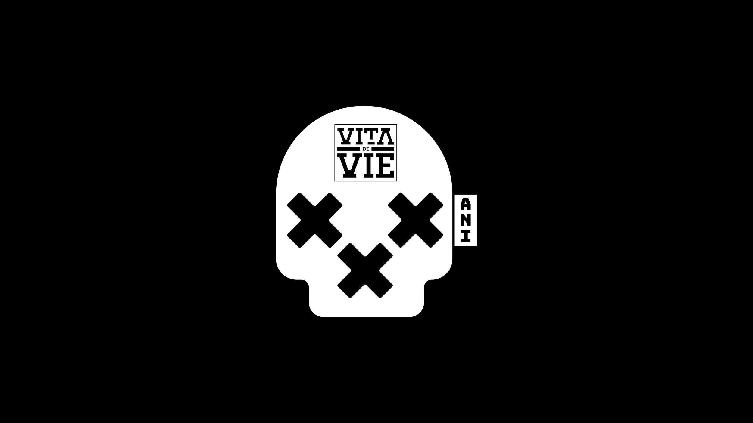 VDV-30-Logo-03.jpg