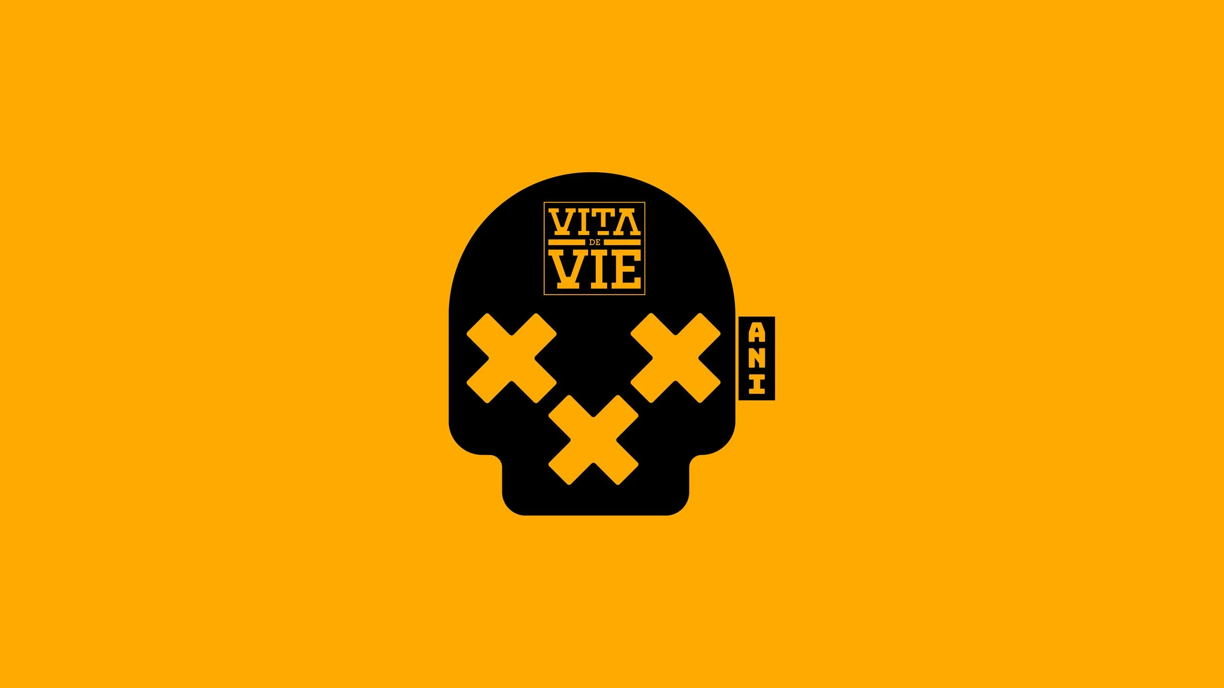VDV-30-Logo-02.jpg