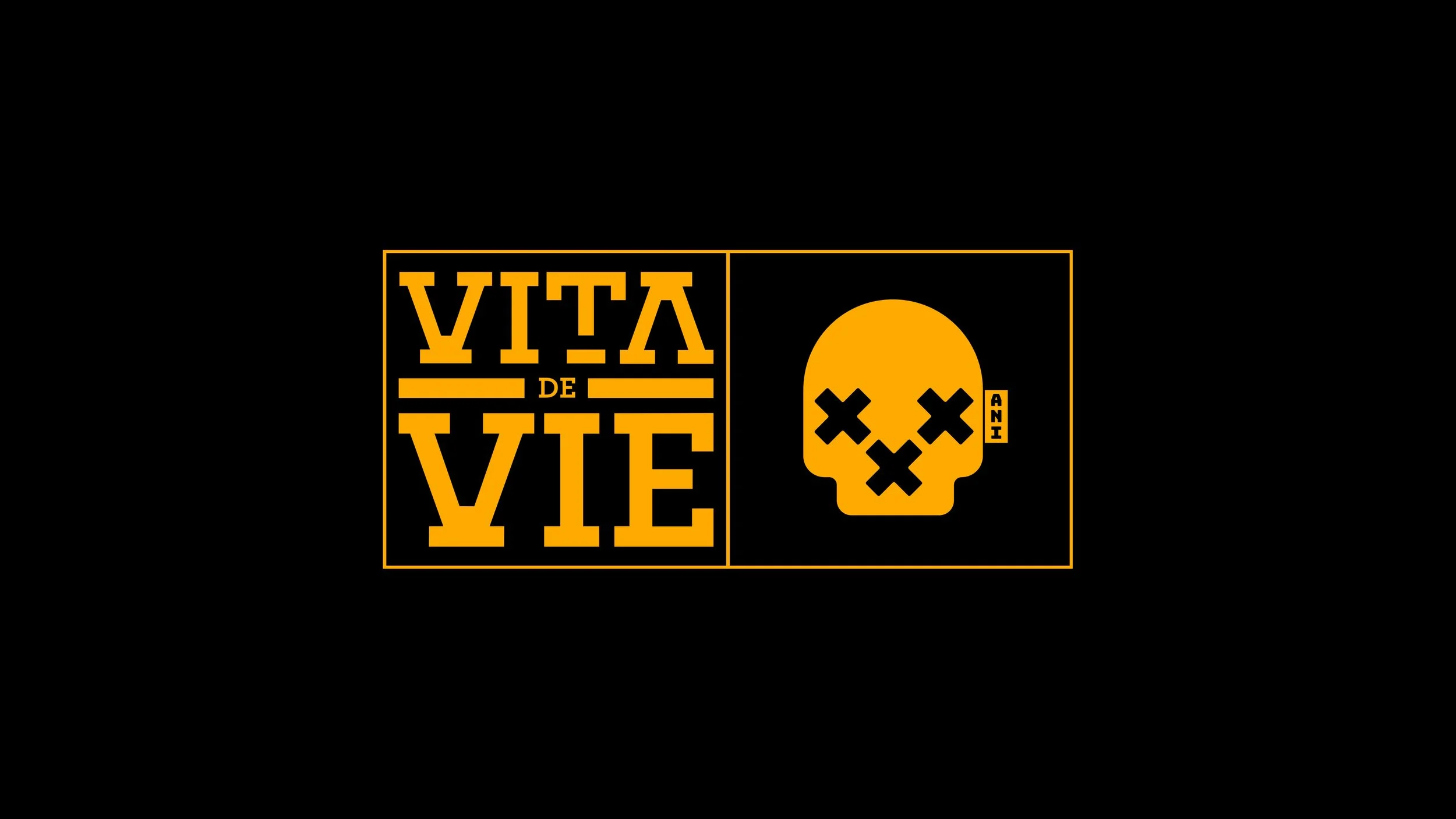 VDV-30-Logo-04.jpg