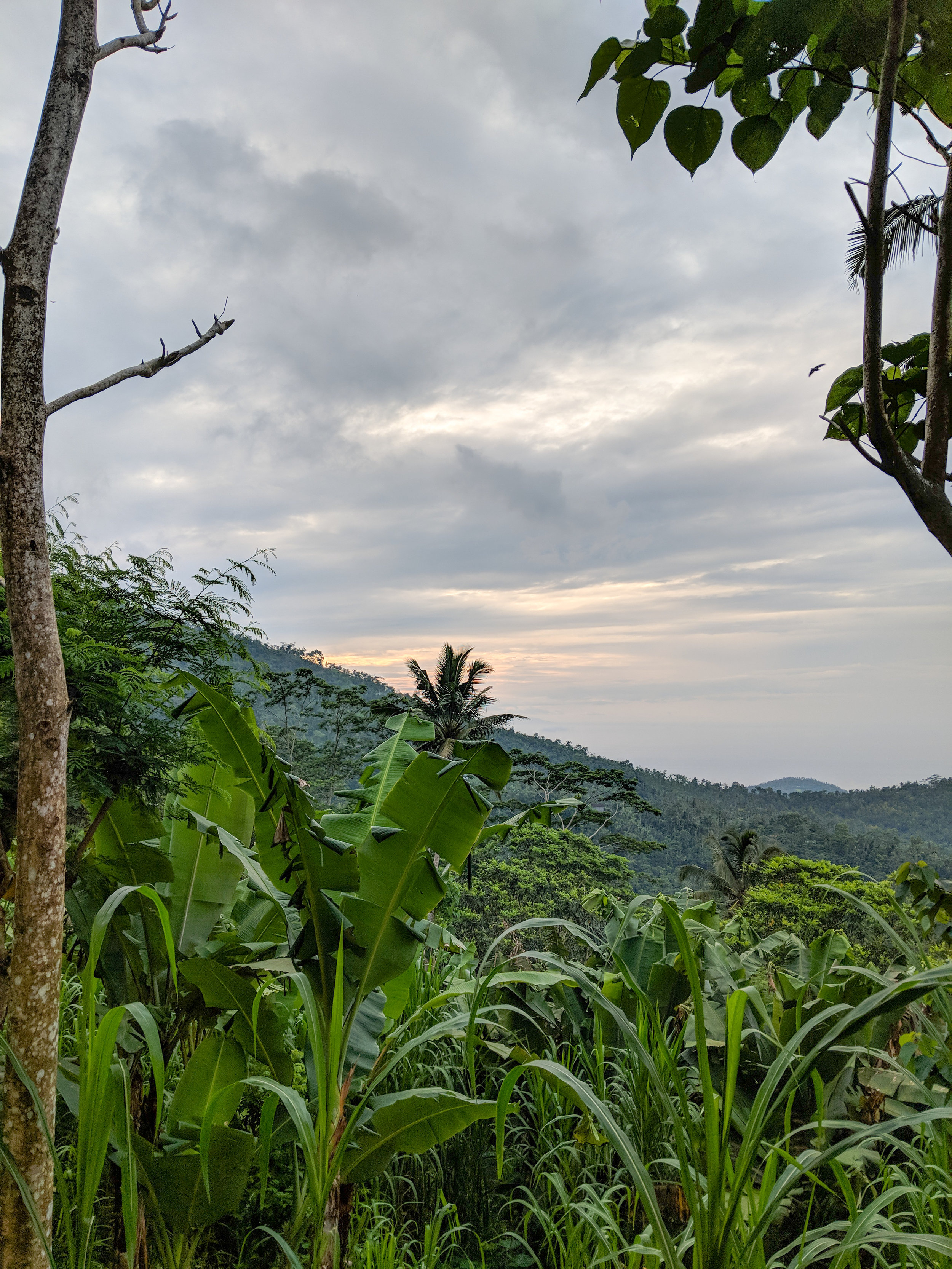 Scenic Views from Mount Lempuyang