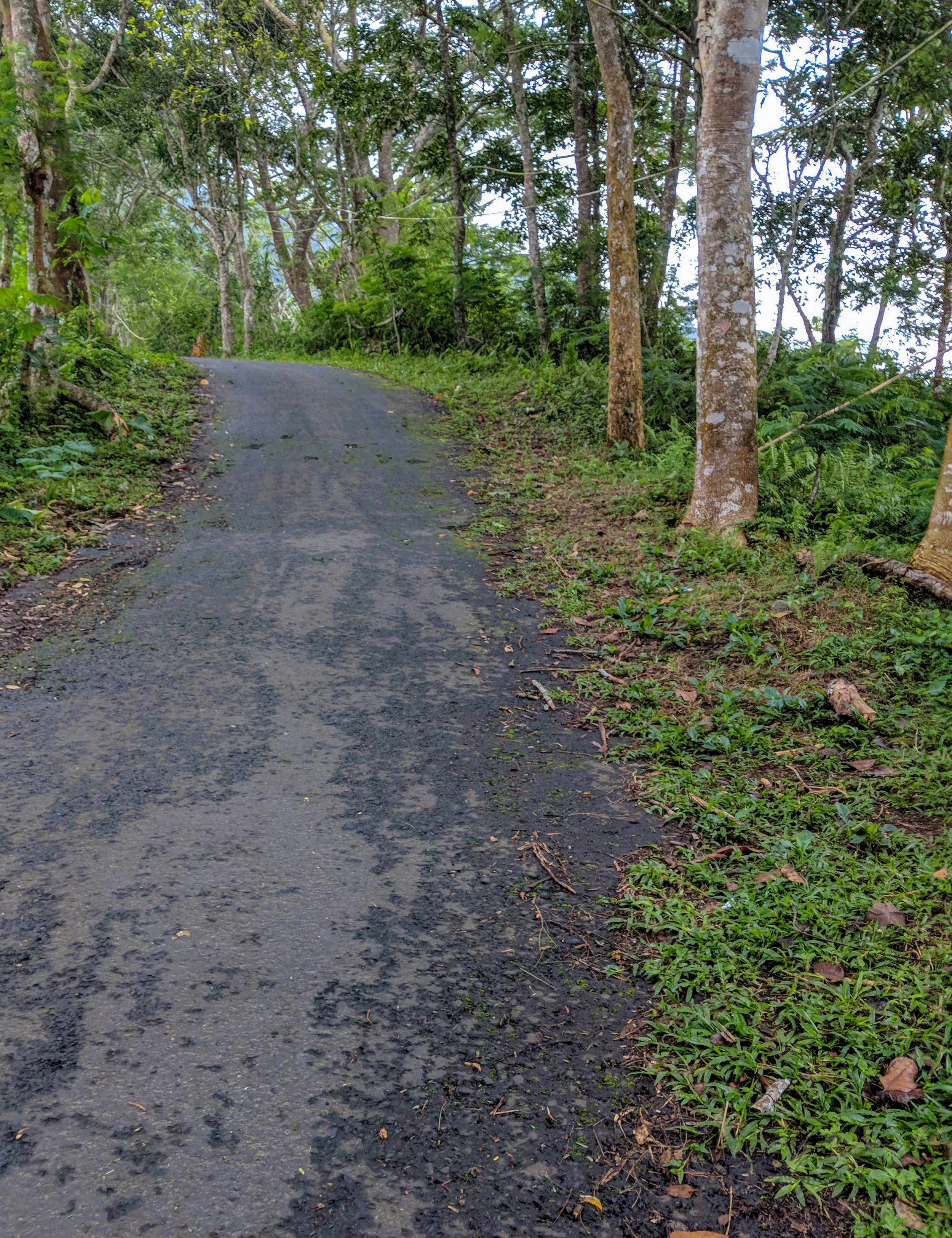 Steep Walk to Pura Lempuyang