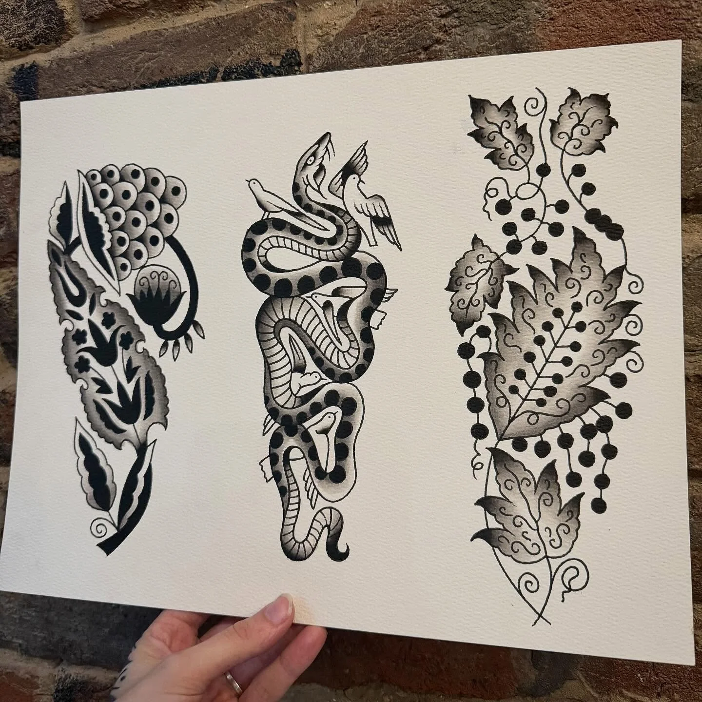 Black and grey designs. Perfect for forearm, calf, or shin. Message me or walk into @blackrosetattooky 

#traditionaltattoo #folkarttattoo #blackrosetattoolex