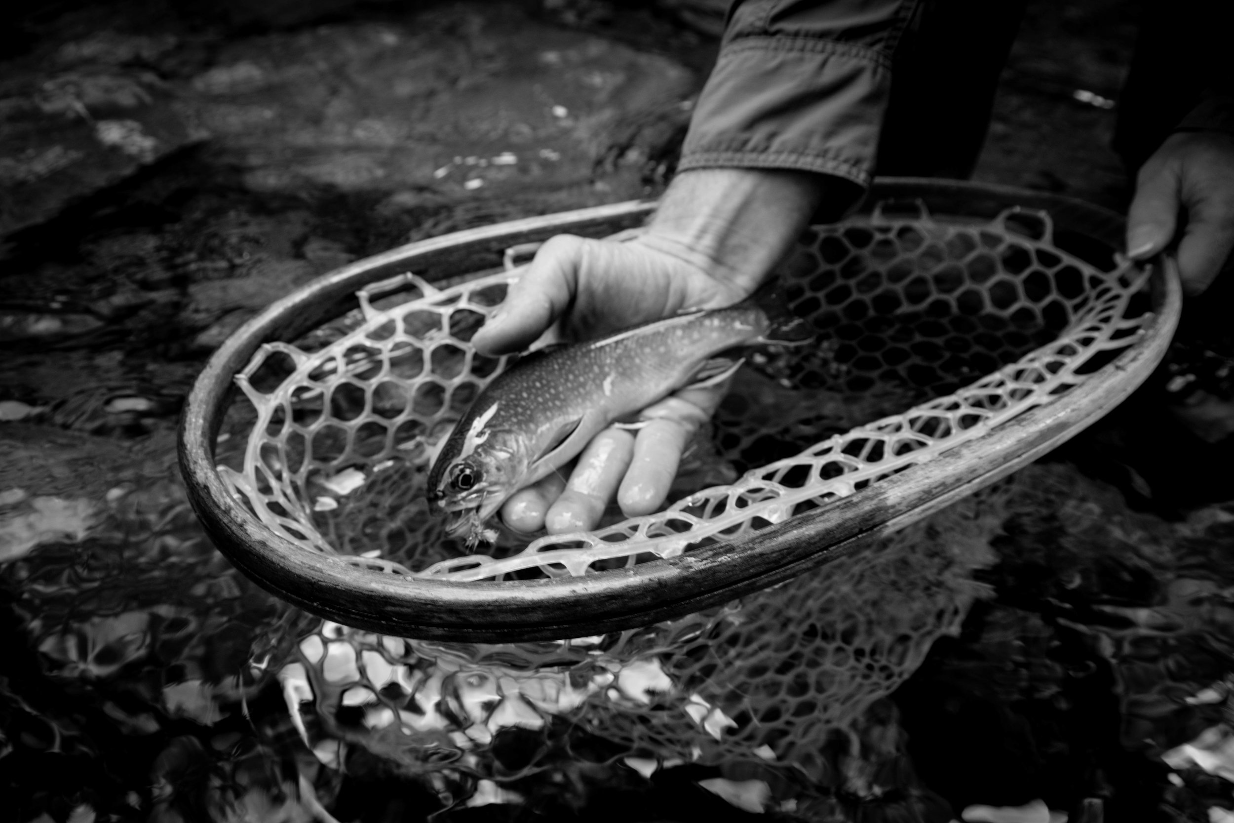  Jillian Schuller Photography - Fly Fishing 