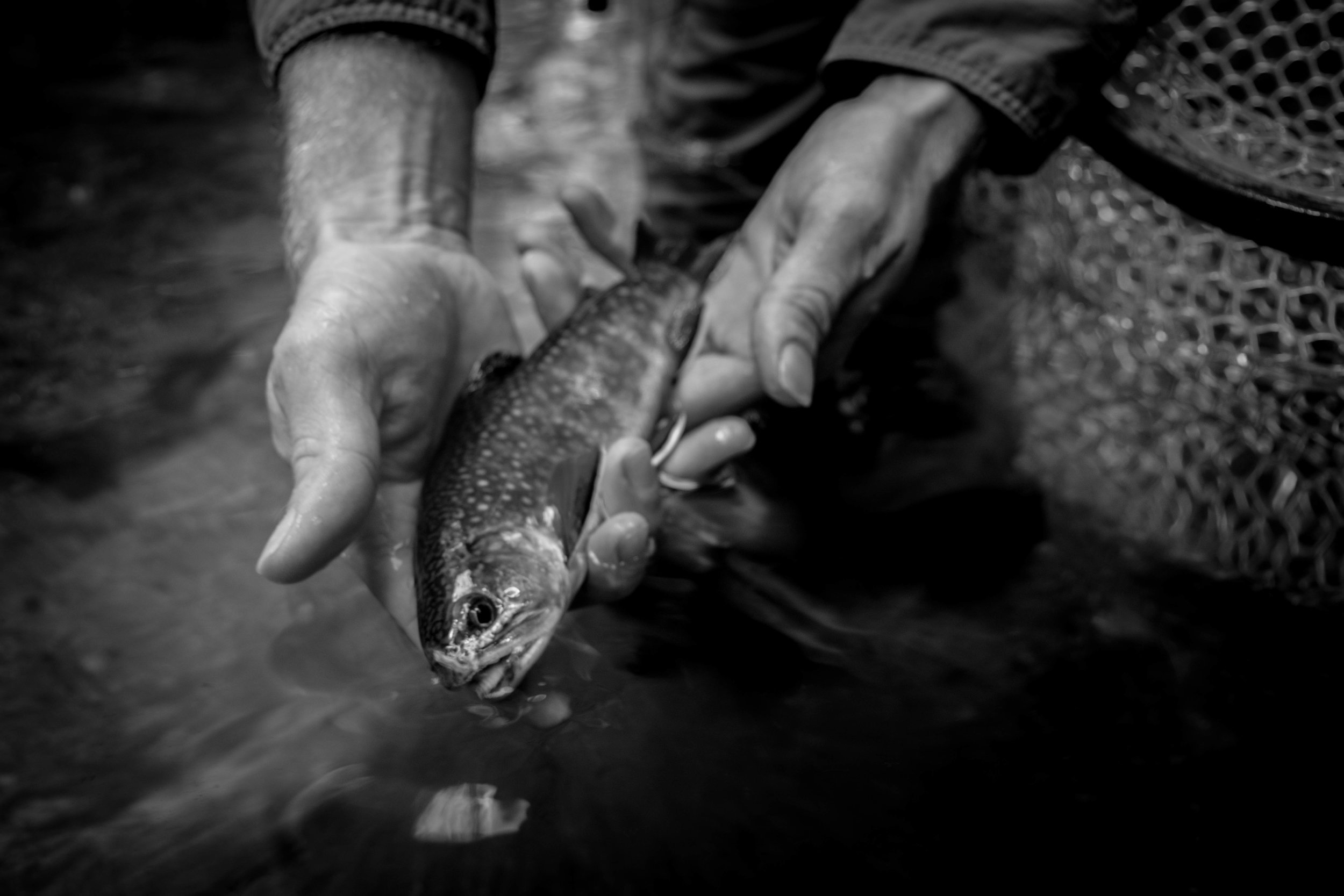  Jillian Schuller Photography - Fly Fishing 