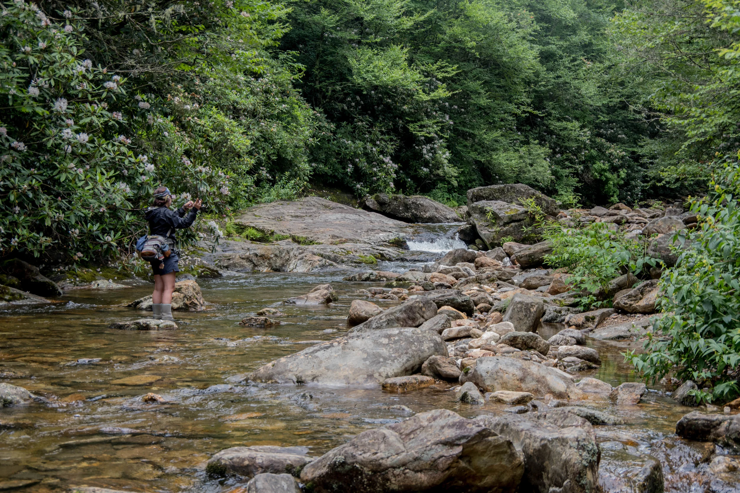 Jillian Schuller Photography - Fly Fishing