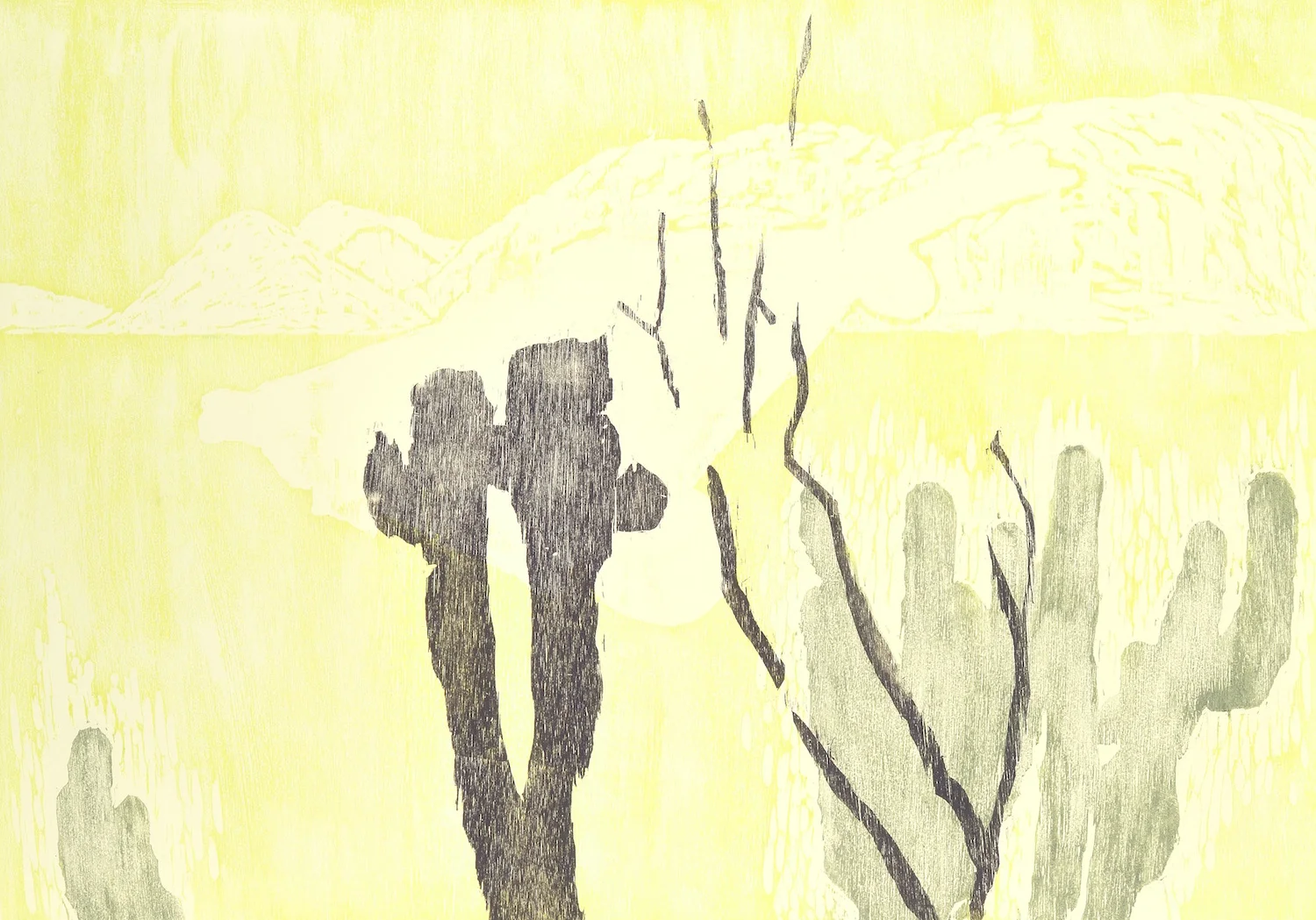 Anima (Luz Transeúnte Series)