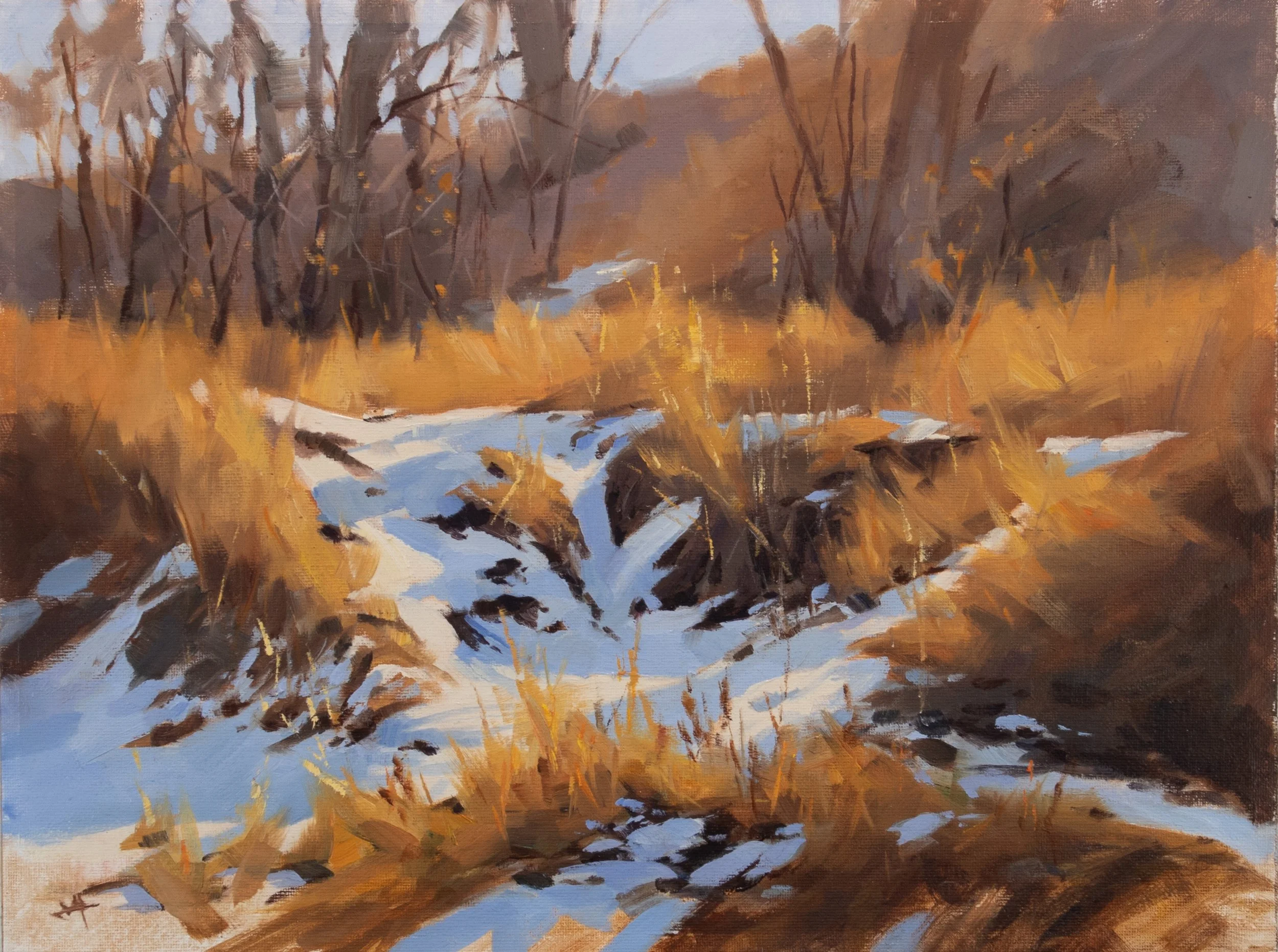 Pein Air Landscapes — Judd Mercer | Contemporary Landscape Paintings