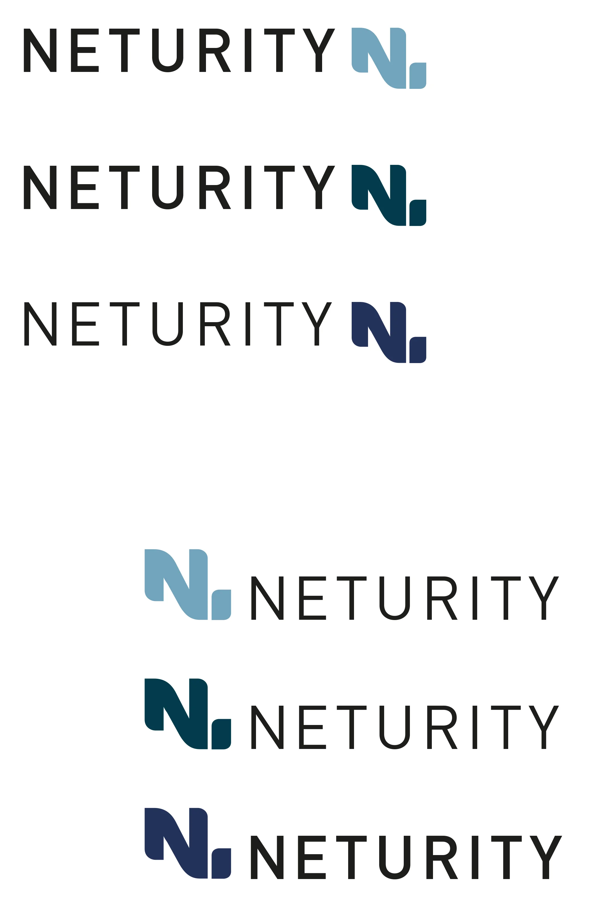 neturity-logo-h.jpg