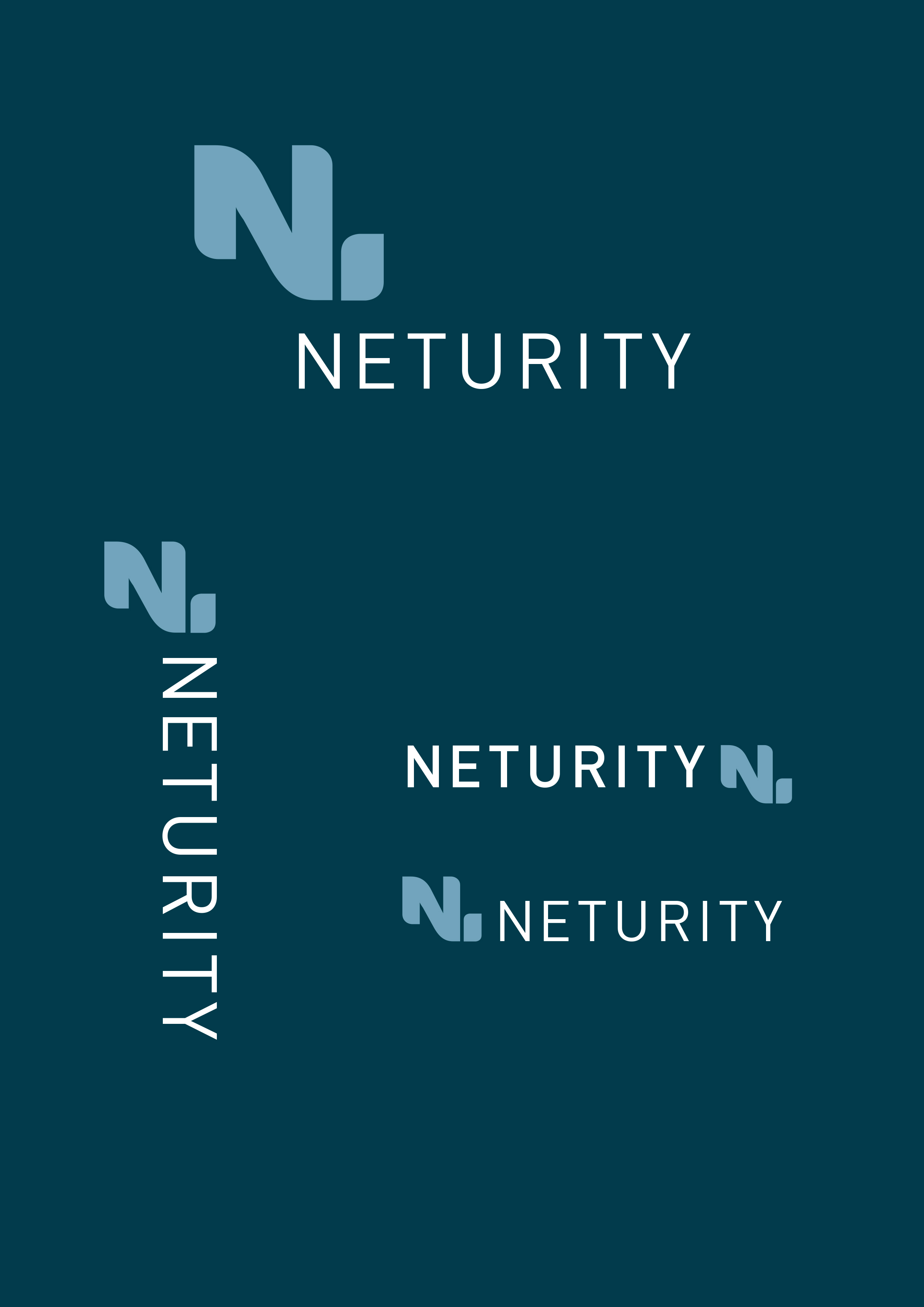 neturity-logo-inv.jpg