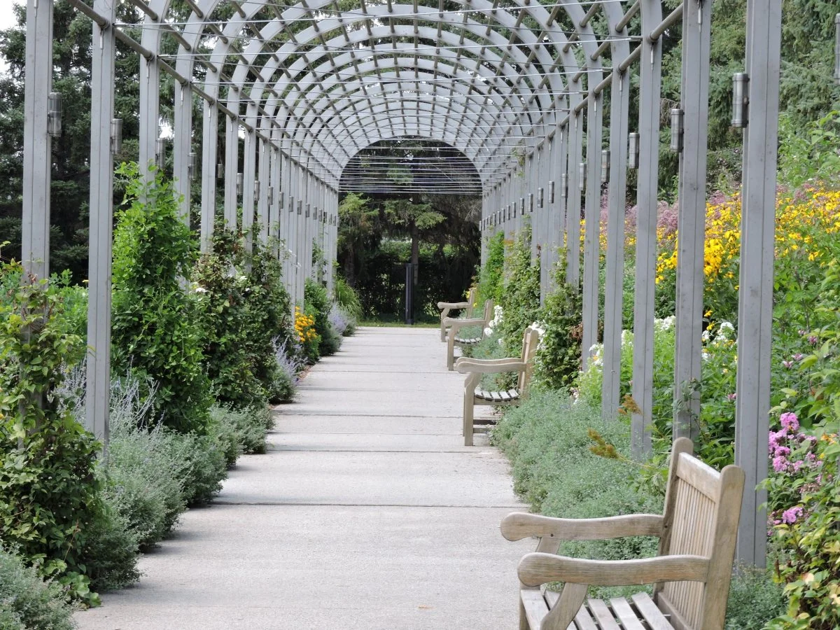 arcade_garden_pavement_bench_design_art_flowers-943612.jpg!d.jpg