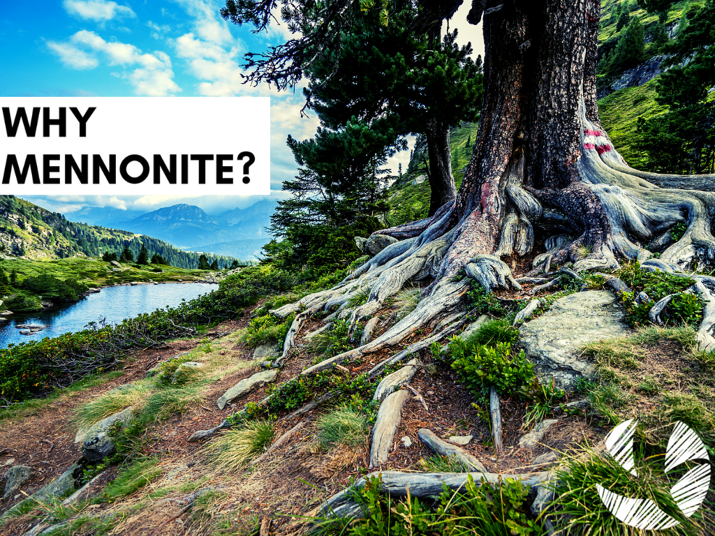 Why Mennonite? A New Sermon Series
