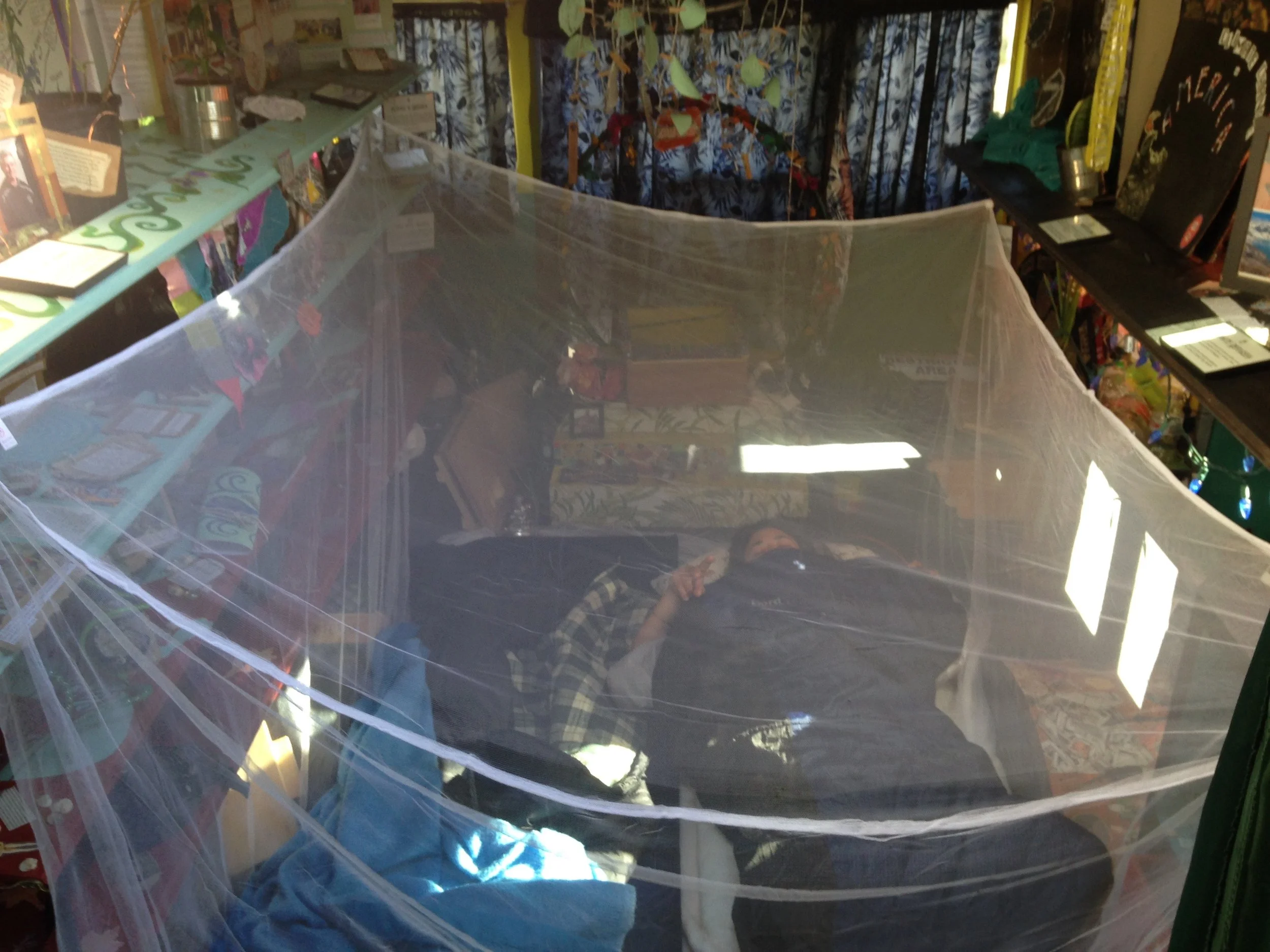 We have a mosquito net now. A quality invention!
