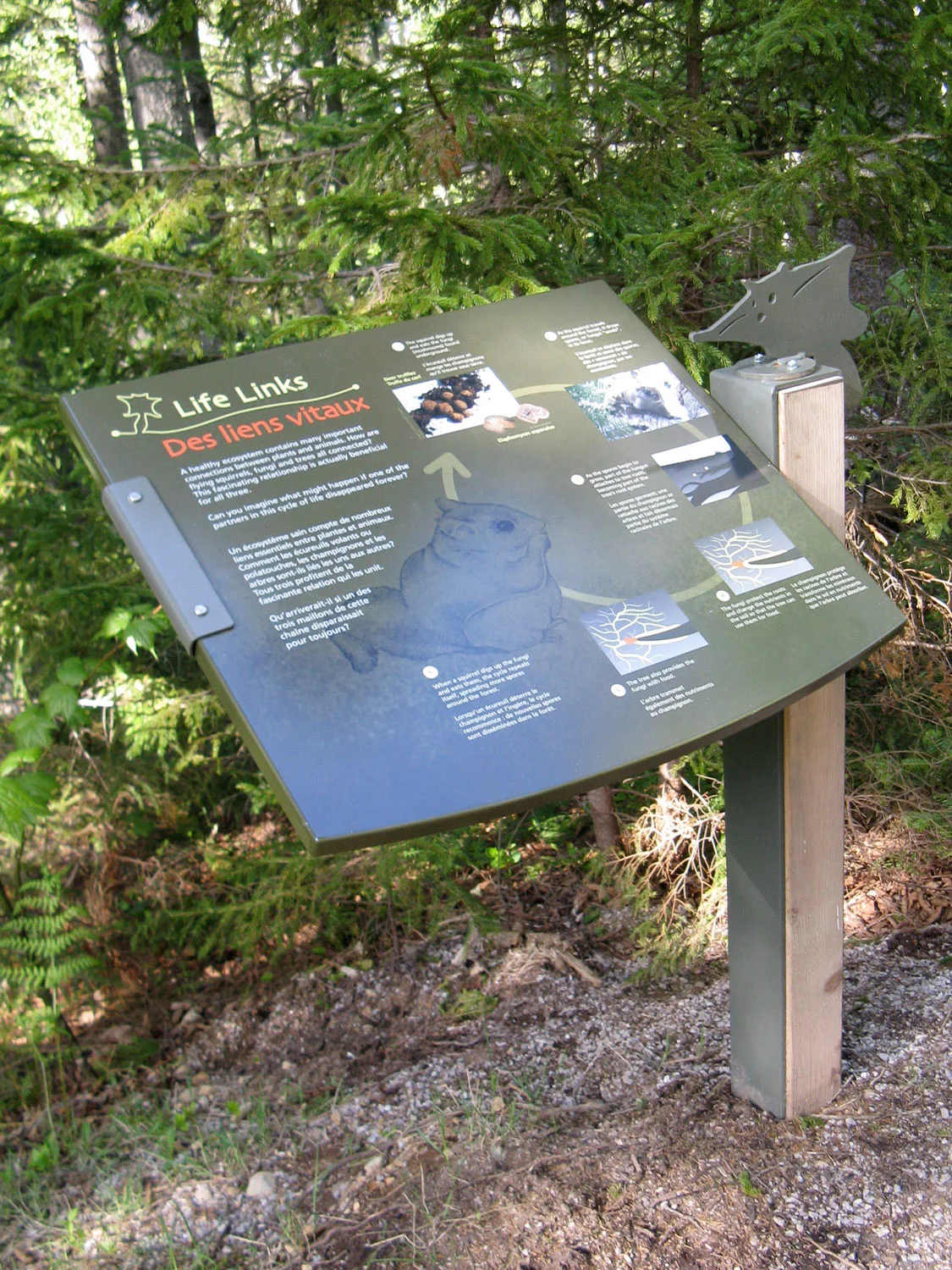 TRAIL SIGNAGE Interpretive panels are located along the walking trail.
