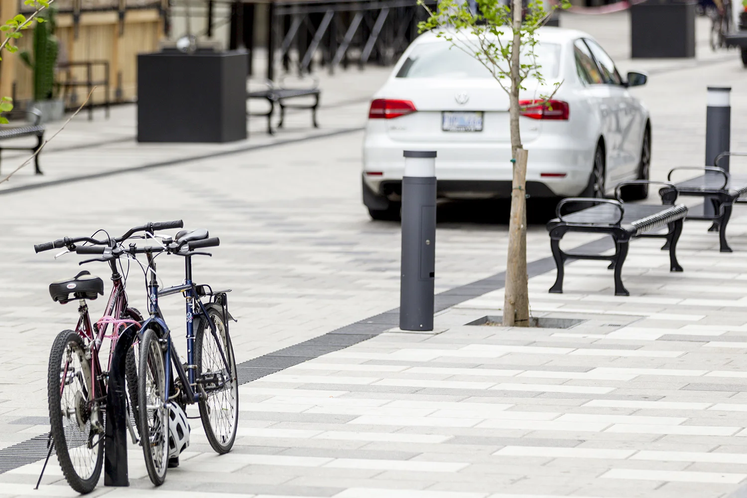 Aligning trees, benches, and lamp posts limits the obstructions to pedestrians and ensures a large path of travel. This design also makes the street easier to navigate for those with limited mobility or visual impairments.