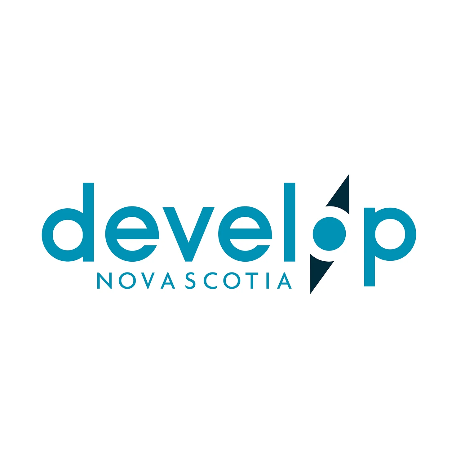 Develop NS - Fathom_Studio.png