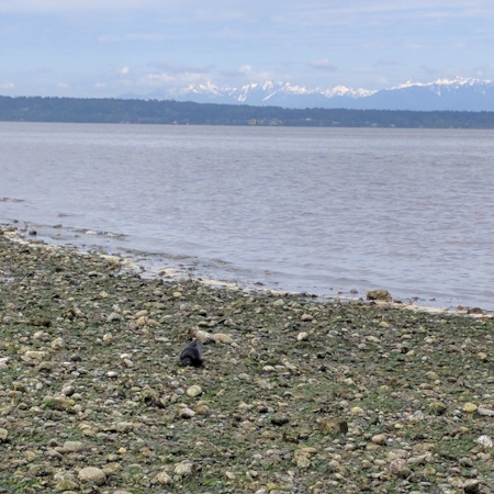 Awesome views from the shore!
