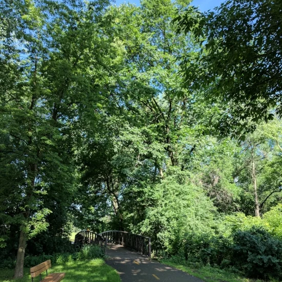 Much of the path has good tree cover; probably good on a warm day.
