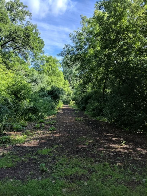 I didn't have time to see where this dirt path goes; some other time!