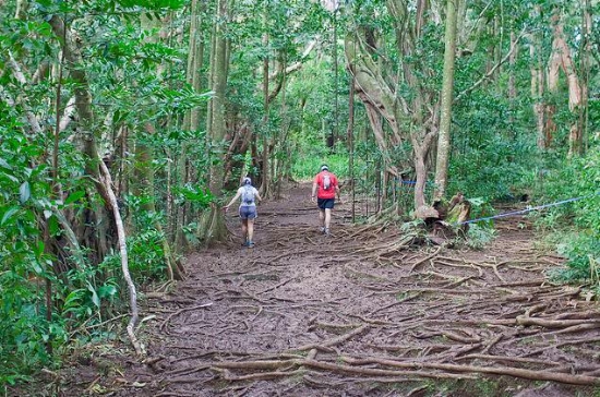 My pacer, Justin Lottig and me, making our way through the roots on loop 4. Photo by Robert P. Smith.