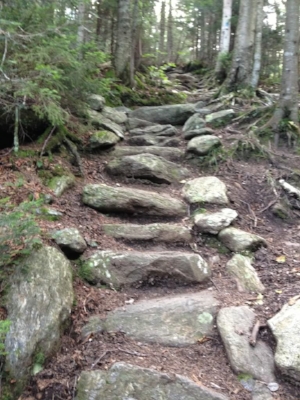 The early trail builders of Vermont hadn't heard of switchbacks: trails that go up, go straight up!