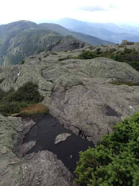 The summit ridge along the Long Trail heading south. I love all the alpine vegetation here, and the tiny pools that have emerged in low spots in the rocks.