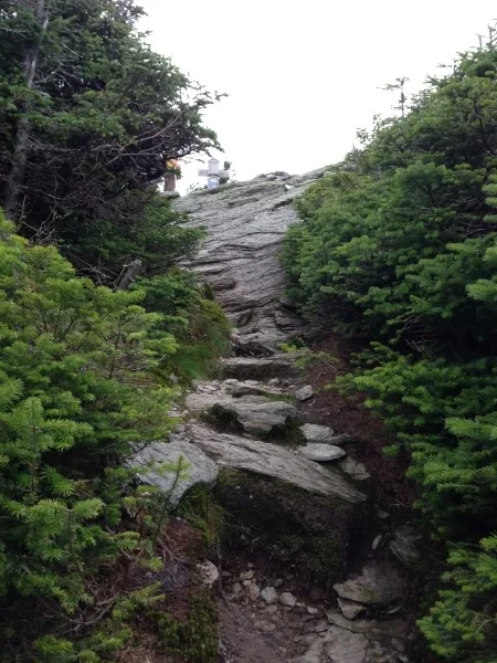 I snapped this photo at the spot where the Cliff Trail rejoins the Long Trail to continue north toward the summit. Definitely a steep "last push" to get up to the Long Trail, where the hikers in this photo are standing!