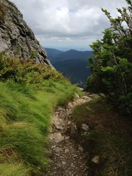 See how the trail disappears about halfway up the frame of this photo? That's because at that point, it drops straight down for a while. Very beautiful trail, though!