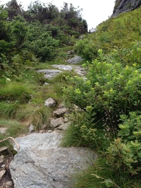 Coming back up the Profanity Trail. It's steeper than this photo makes it appear.