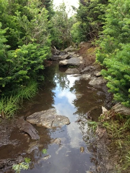 Parts of the Sunset Ridge Trail were quite muddy.
