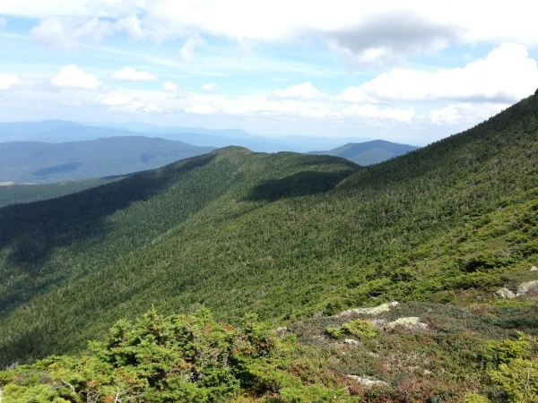 Looking north, not far below Mansfield's summit.