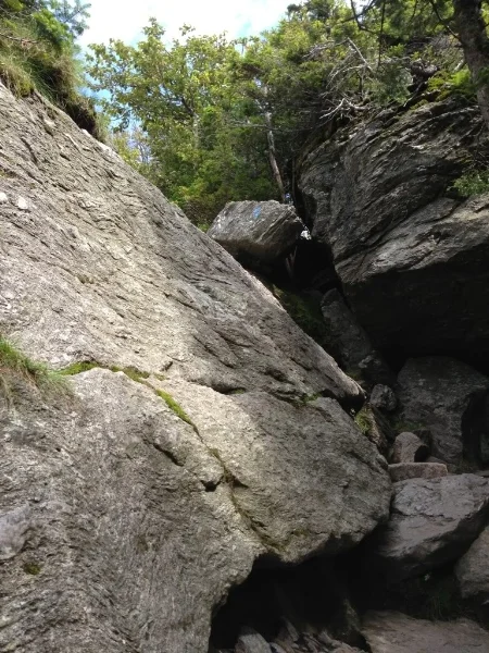 A small section of rock scrambling, just before the bottom of the trail, keeps the Sunset Ridge Trail interesting.