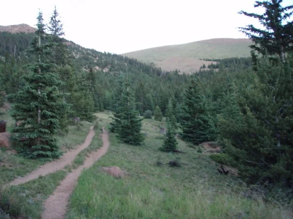 A well-trod path leads the way, as the sun starts to rise.