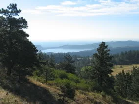 As you gain altitude, views expand all around you. To the south and east, Horsetooth Reservoir and conifer-covered foothills are visible.